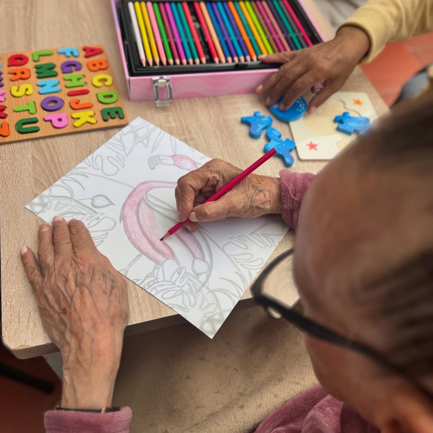 geriatrico_celeste_471602099_17884260552199017_2283308057873218848_n